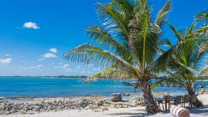 Un área de descanso en la playa con tumbonas de madera, una palmera y vista al océano.