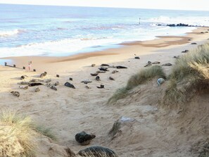 Beach nearby - Sweetacres (Great Yarmouth)