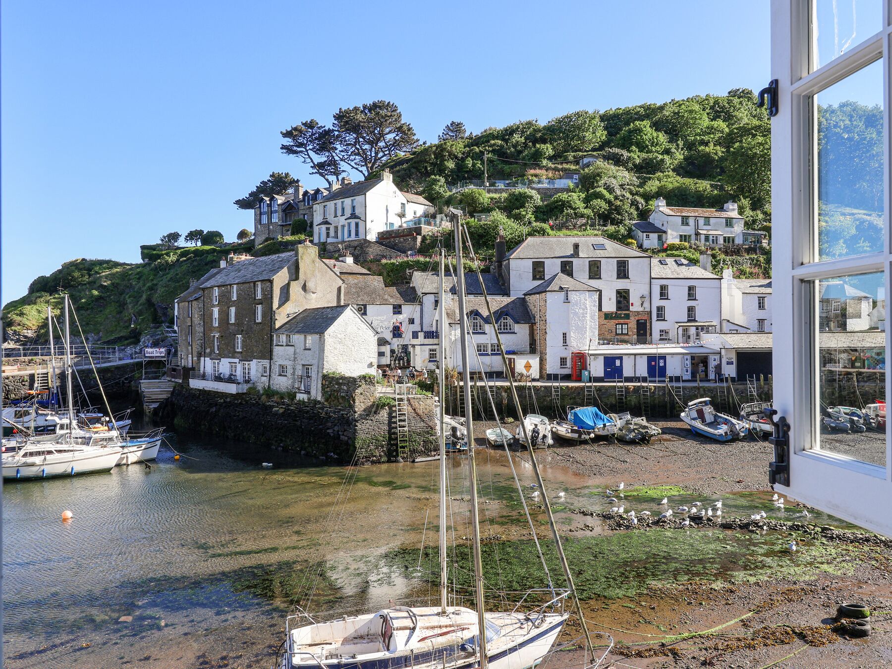 المنشأة من الداخل