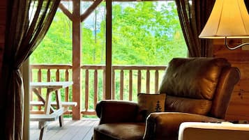 Smart TV, fireplace, video games, DVD player