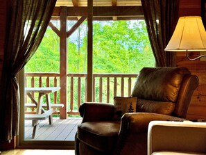 Smart TV, fireplace, video games, DVD player