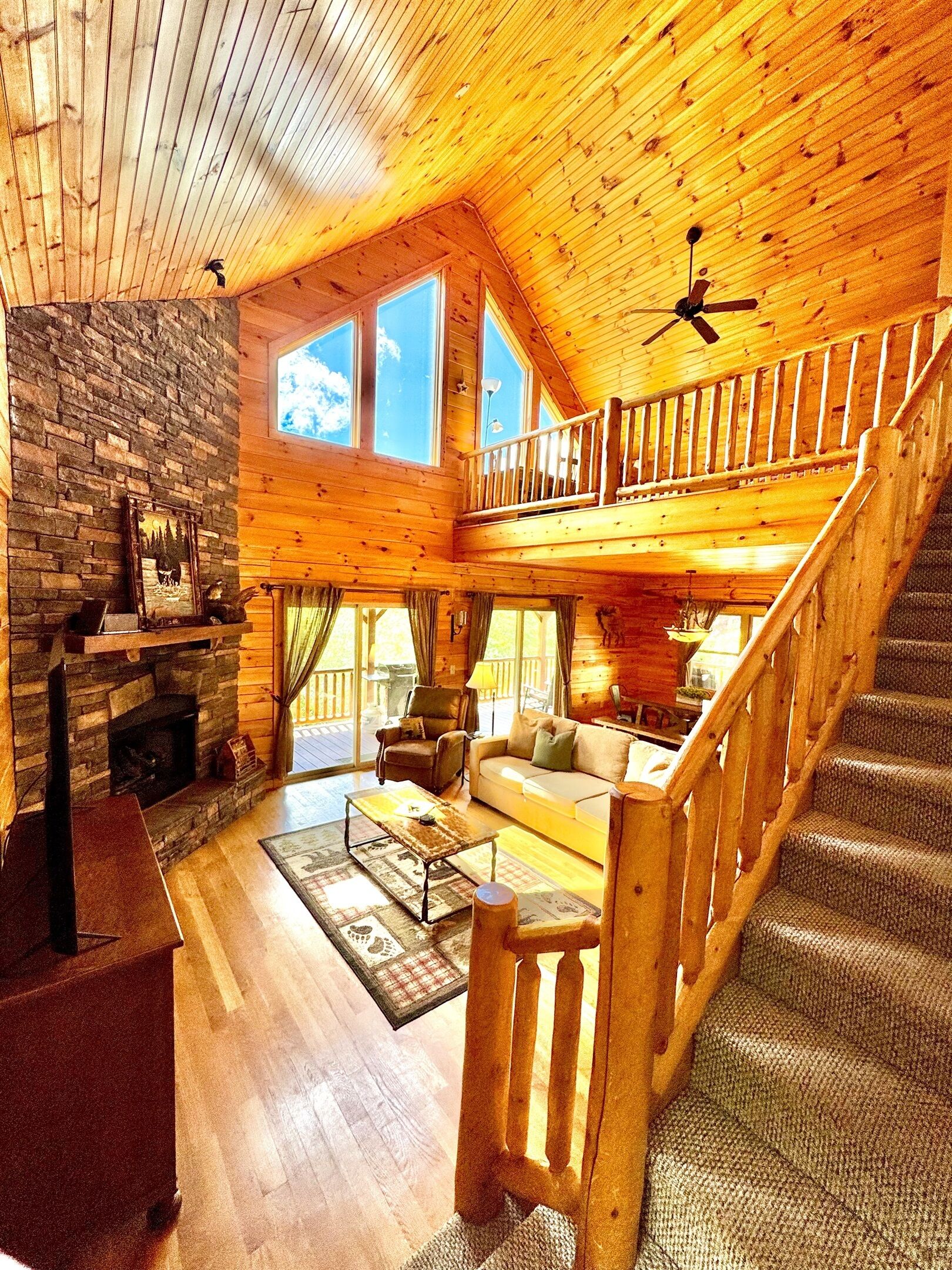 Smart TV, fireplace, video games, DVD player