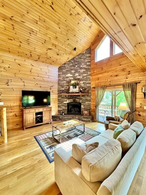 Smart-TV, Kamin, Videospiele, DVD-Player