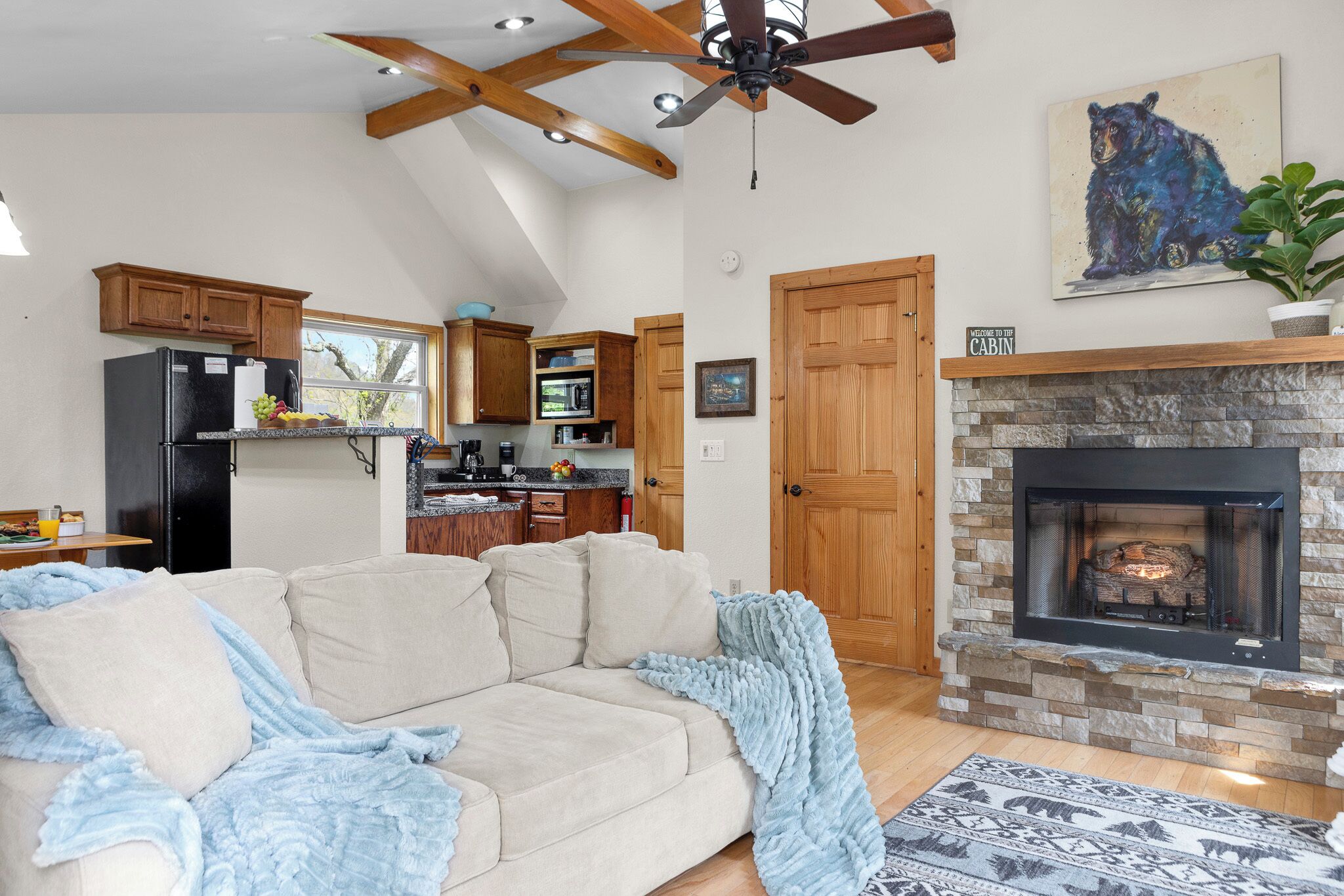 Smart TV, fireplace, video games, DVD player