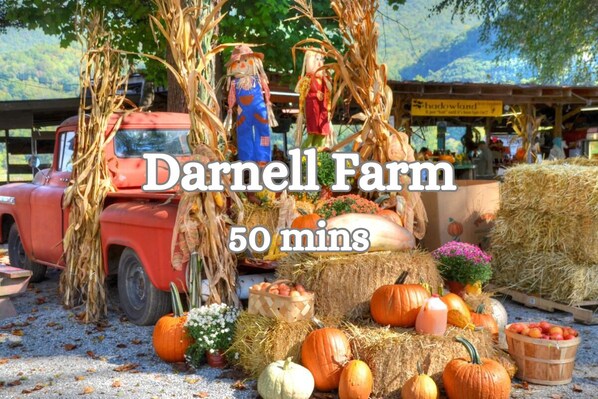 Miscellaneous - Cozy Pet-Friendly Retreat | Views & Fire Pit Fun (Waynesville)