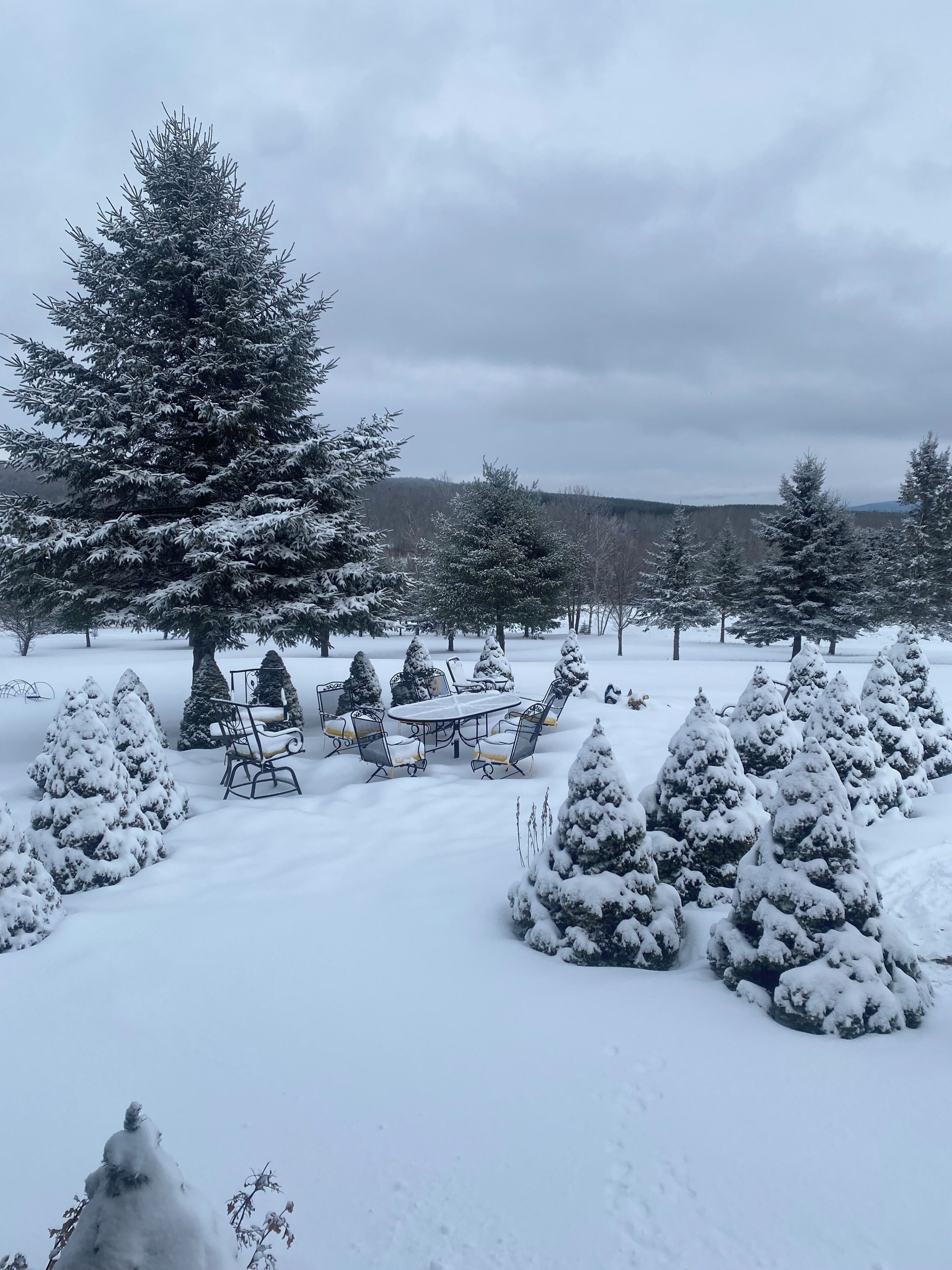 Un espacio exterior cubierto de nieve con una mesa y sillas, rodeado de árboles cargados de nieve.