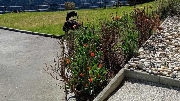 Vista de un paisaje montañoso con cielo despejado, una zona pavimentada con un pequeño jardín y un edificio con entrada visible.