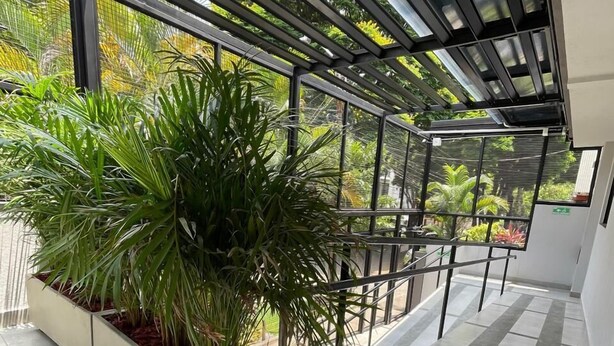 Un espace extérieur abrité, doté d’un sol carrelé, de rampes en métal et d’un grand bac à plantes contenant des plantes vertes.