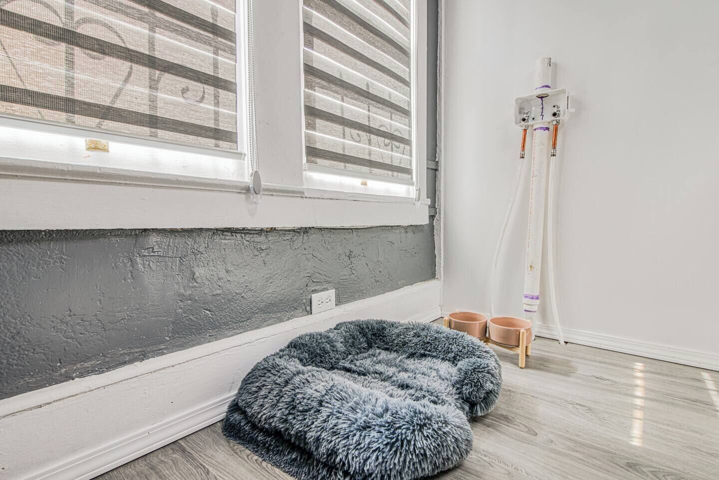 Une pièce avec une grande fenêtre, un mur gris à la texture intéressante, un coussin moelleux gris pour animaux de compagnie et deux gamelles pour animaux posées sur le sol.