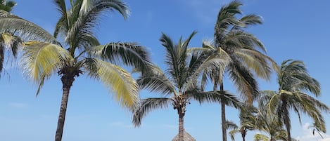 Perto da praia, toalhas de praia