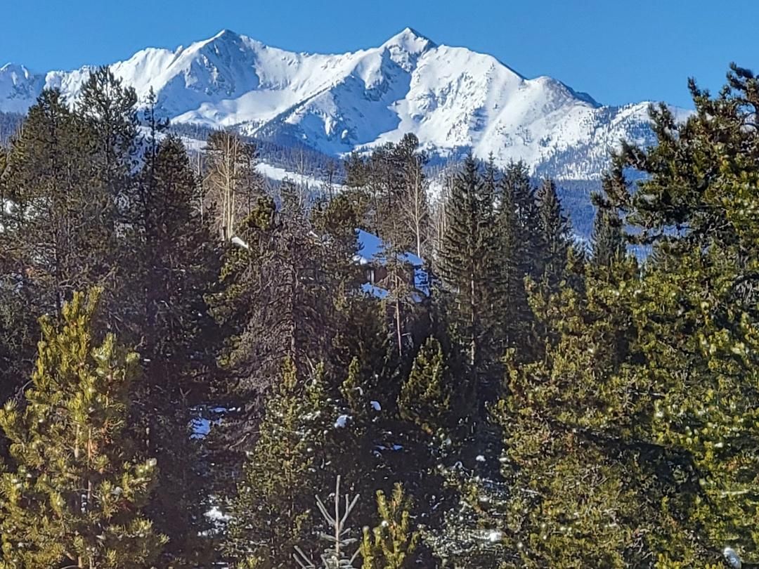 Una cordillera nevada con un denso bosque en primer plano.