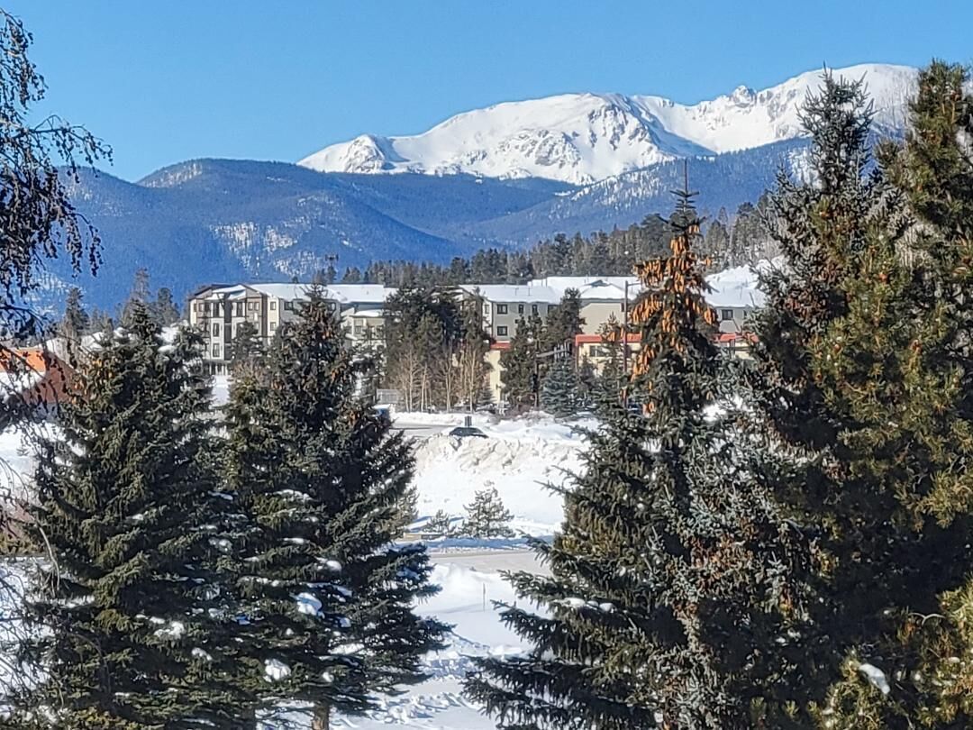 Paisatge cobert de neu amb una muntanya al fons, una filera d'edificis i arbres de fulles perennes en primer pla.