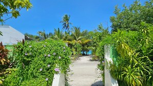 A pathway flanked by lush greenery and flowering plants leading to a building. - Kuri Himandhoo Inn (Himandhoo)