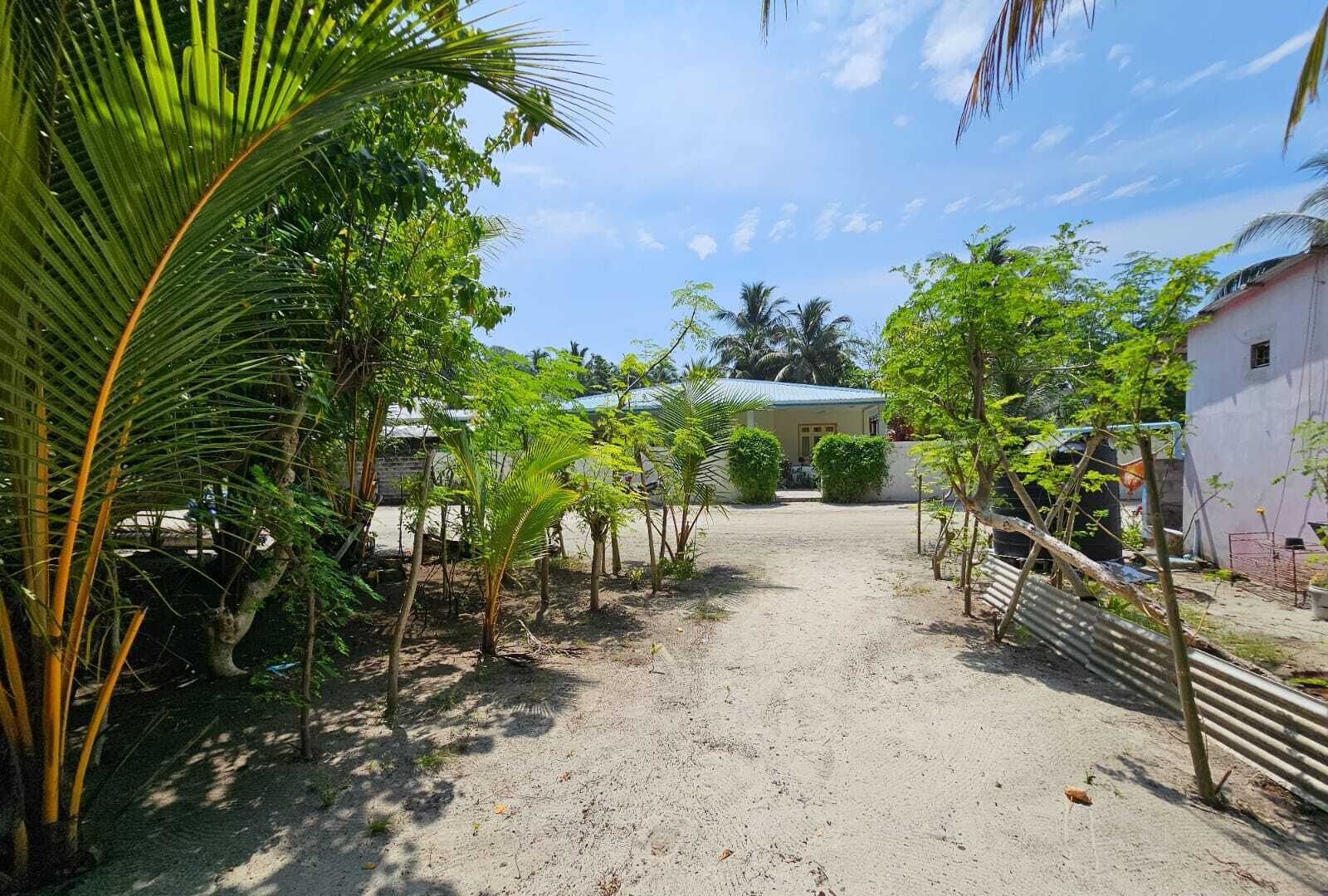 Photo - Kuri Himandhoo Inn