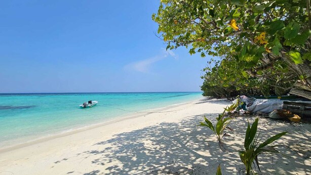 A beach with clear turquoise water, a boat on the shore, and some vegetation. - Kuri Himandhoo Inn (Himandhoo)