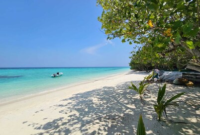 Kuri Himandhoo Inn