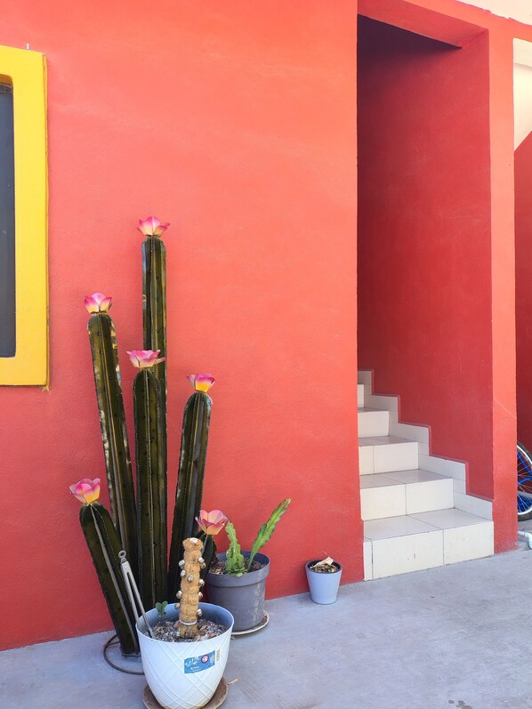 Exterior detail - Baja Escape ;Work, Leisure or Explore — Your Choice! (Loreto)