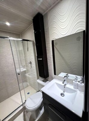 Hair dryer, towels, soap, toilet paper