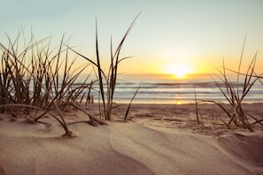 Een strand met zand en gras op de voorgrond en een ondergaande zon boven de oceaan op de achtergrond.
