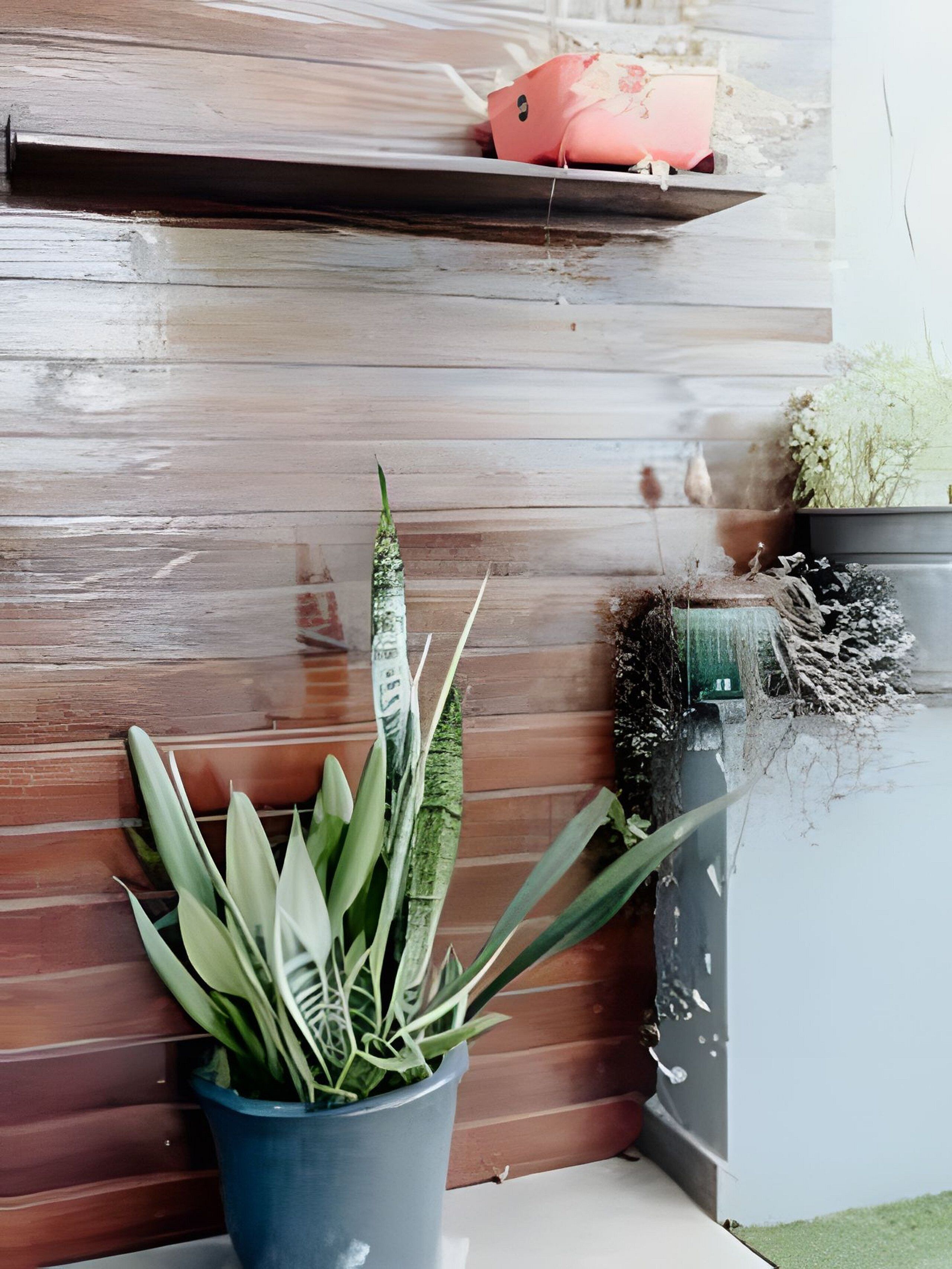 Biệt thự tiện nghi đơn giản | Nội thất