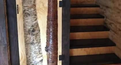 Lynx, wildlife, custom log cabin . private lake access, salmon stream kayaking,