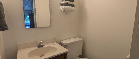 A small bathroom with a white sink, a toilet, and a mirror.
