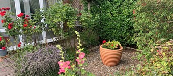 Cosy Cottage with log burner, Northumberland 5min drive to beach, pet friendly!
