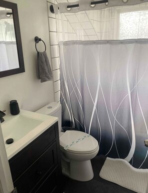 Hair dryer, towels, shampoo, toilet paper