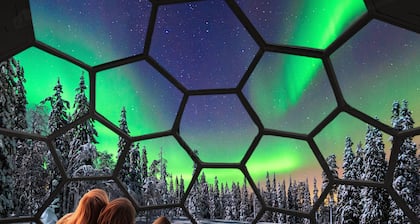 Sleep Under the Northern Lights - SKOG Aurora Igloo - Kalix