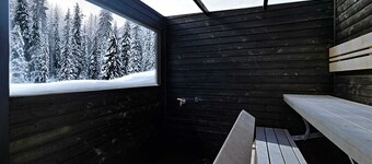 Sleep Under the Northern Lights - SKOG Aurora Igloo - Kalix