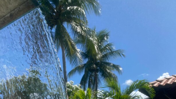 On peut clairement voir une piscine dont l’eau dévale en cascade sur une structure, le tout étant entouré de palmiers et d’un bâtiment doté d’un toit en tuiles.