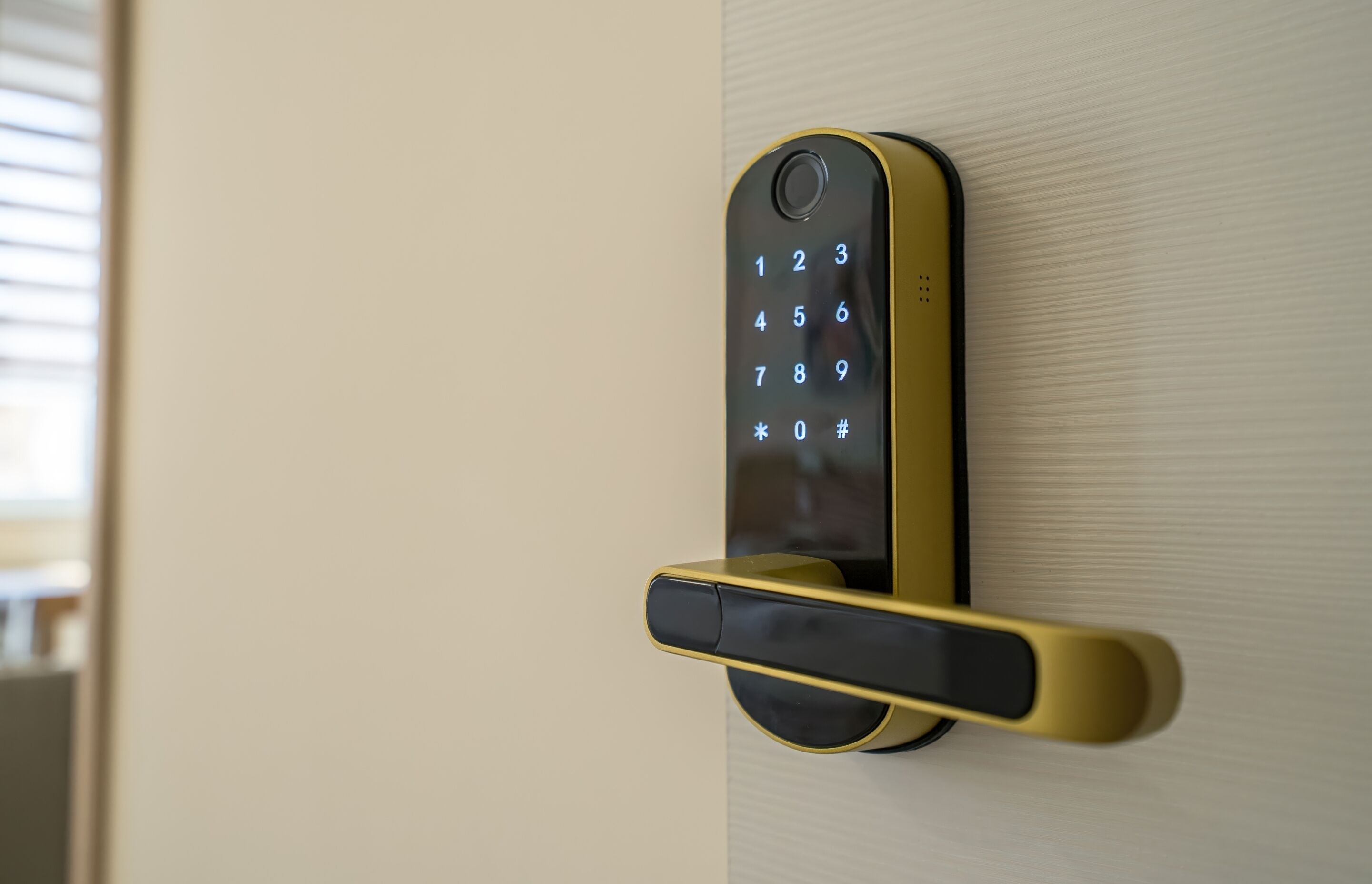 A modern door lock with a keypad.