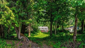 A house surrounded by dense forest, a clear stream, and a grassy area. - Cozy River Cabin - Sleeps 12 - Hot Tub - EV - Trails & Stevens Pass Nearby (Gold Bar)