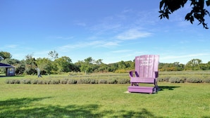 A purple Adirondack chair in a grassy field with a clear blue sky.