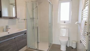 A modern bathroom with a glass-enclosed shower, a toilet, and a vanity with a mirror.