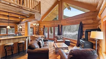 TV, fireplace, DVD player, books