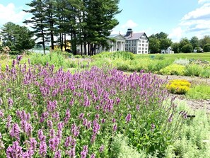 A landscaped garden with purple flowers and a building in the background. - Enfield Shaker Museum (Enfield)