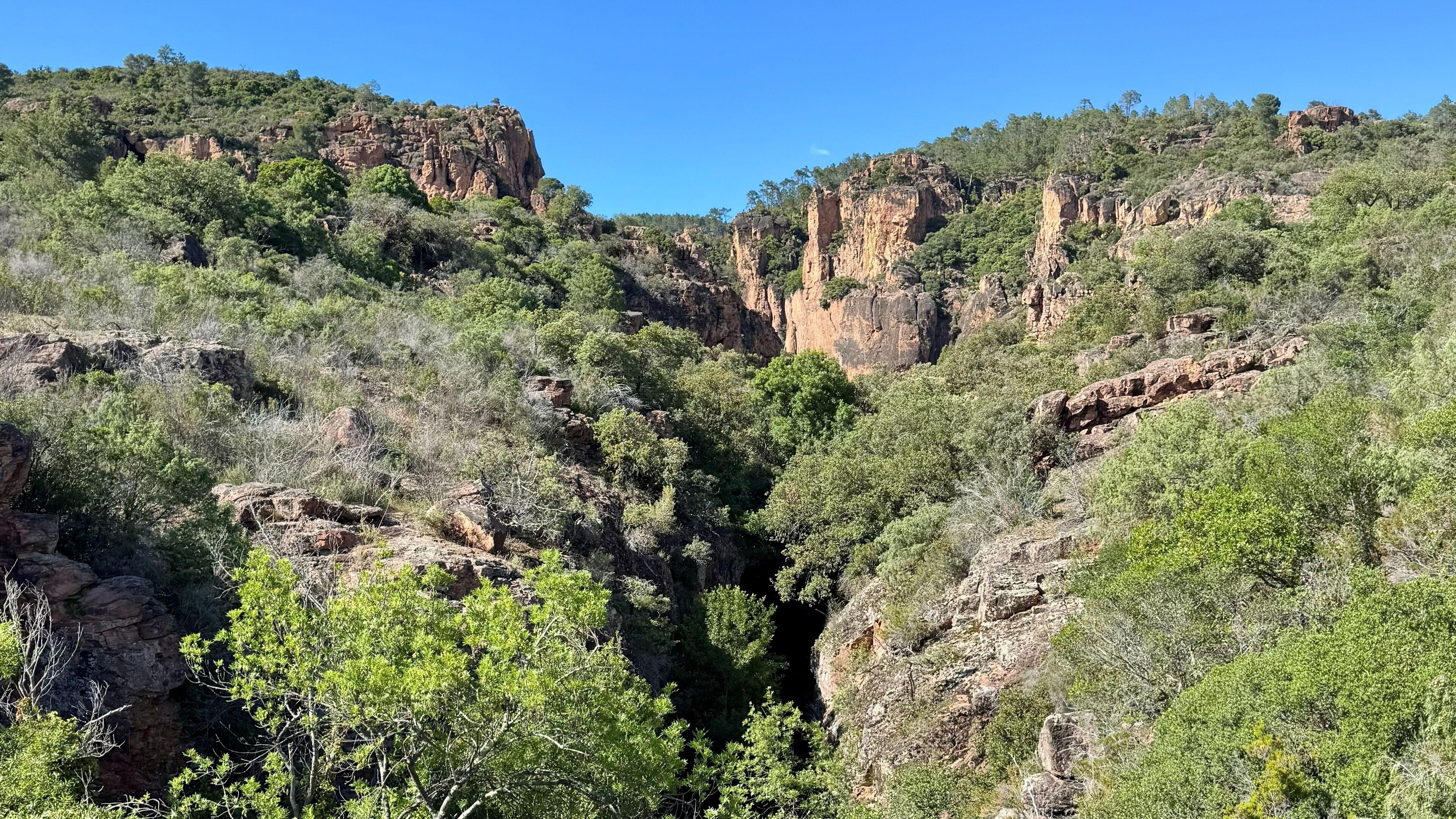 A canyon with rocky cliffs and dense greenery.