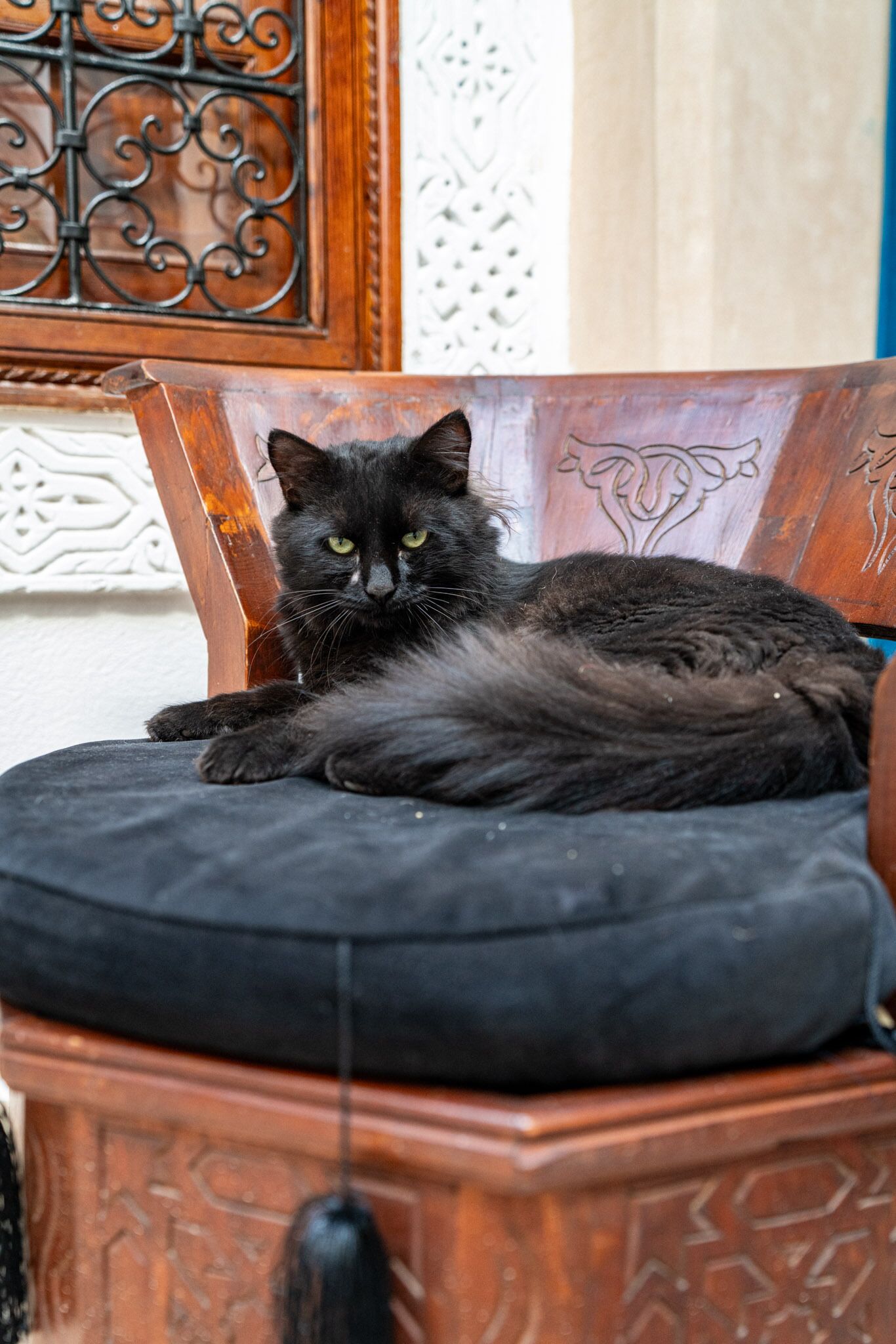 Un chat noir est assis sur un fauteuil rembourré dont l’armature est en bois.