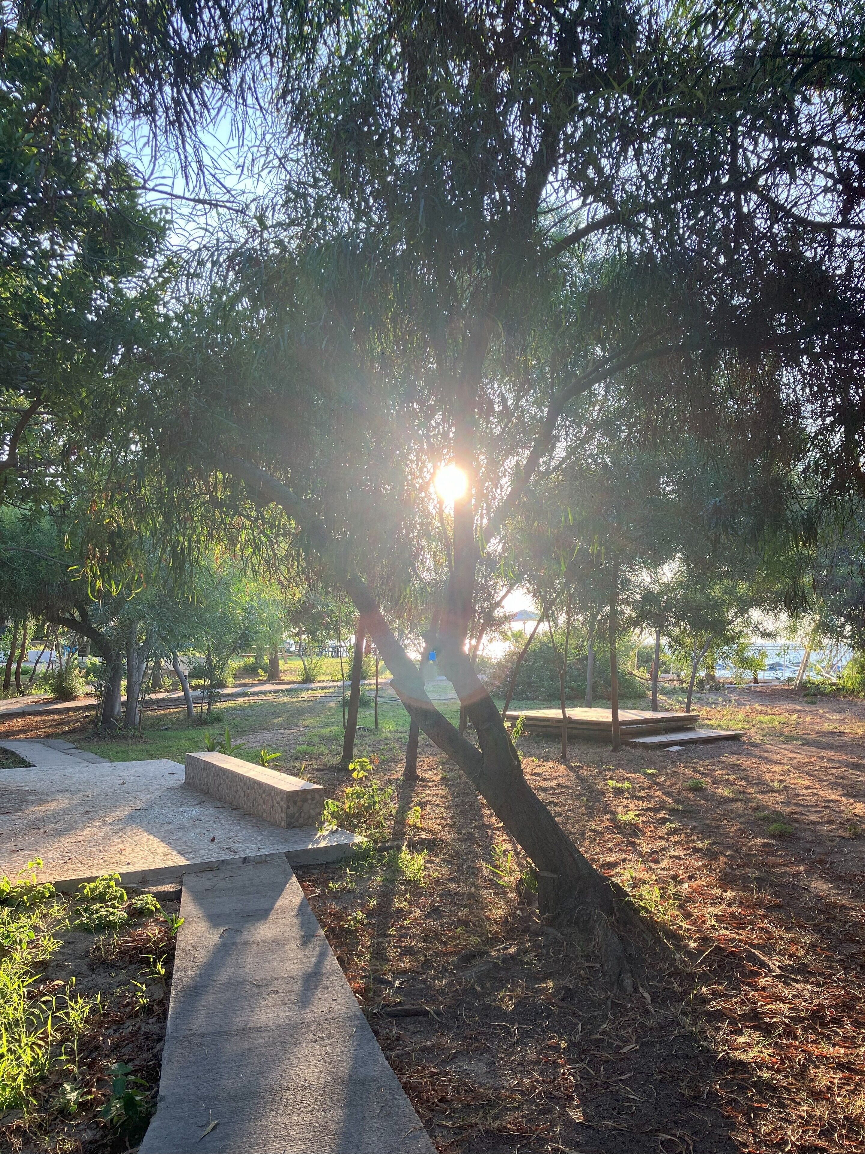 Terrein van de accommodatie