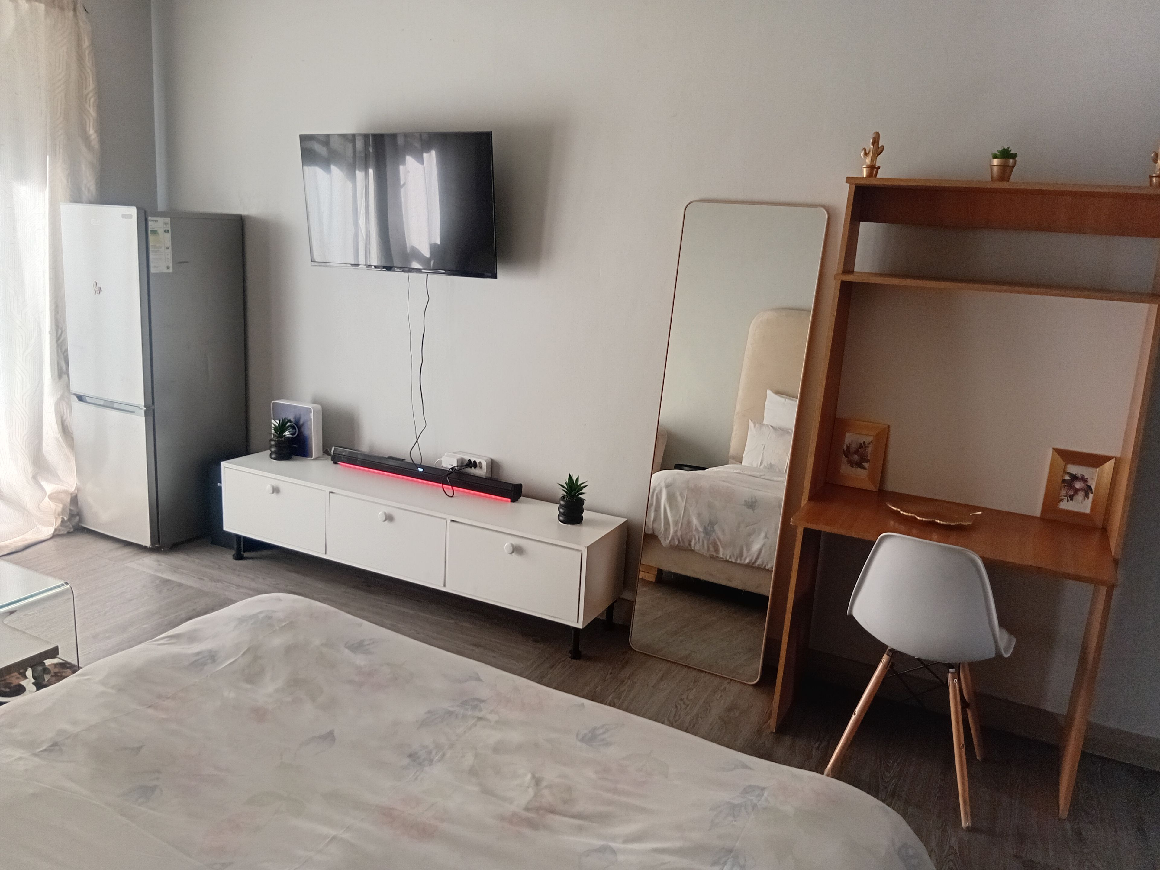 Habitación de hotel con cama, escritorio, silla, televisor, armario y una planta pequeña.