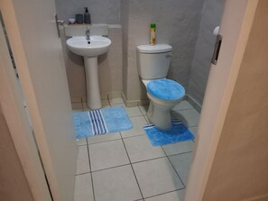 Serviettes fournies, savon, papier toilette