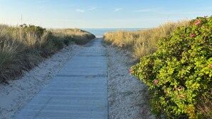 En træbro fører hen til en strand, omgivet af klitter og vegetation.