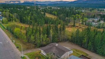 A residential area with a house surrounded by dense forest, a road, and a distant mountain range.