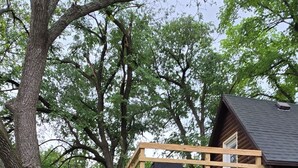 A rustic cabin with a wooden deck and a staircase leading to an upper level.