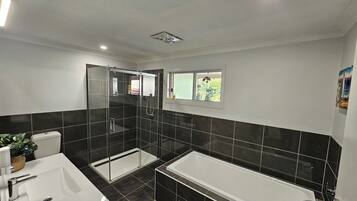 Hair dryer, bidet, towels, soap