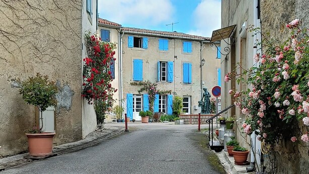 A narrow street with buildings on either side, potted plants, and a statue.