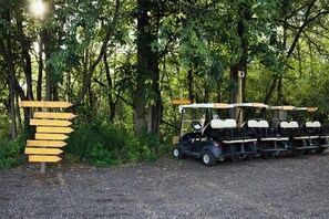 Property grounds - The Hilton - Group Platform Tent Glampsite (Troy)