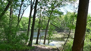 A forested area with a dirt path leading to a body of water.