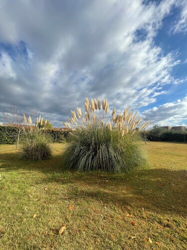 Comarca Andina Lodge 6B